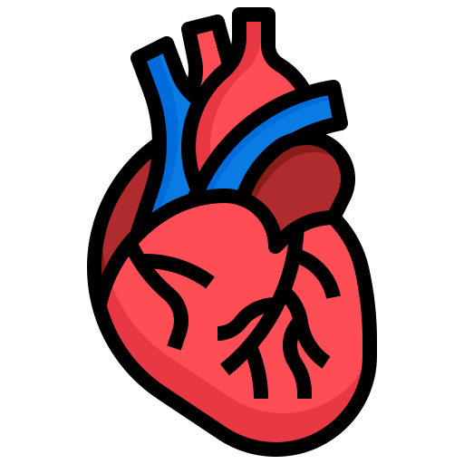Anatomy icon